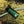 Green Kai Lite Bottle